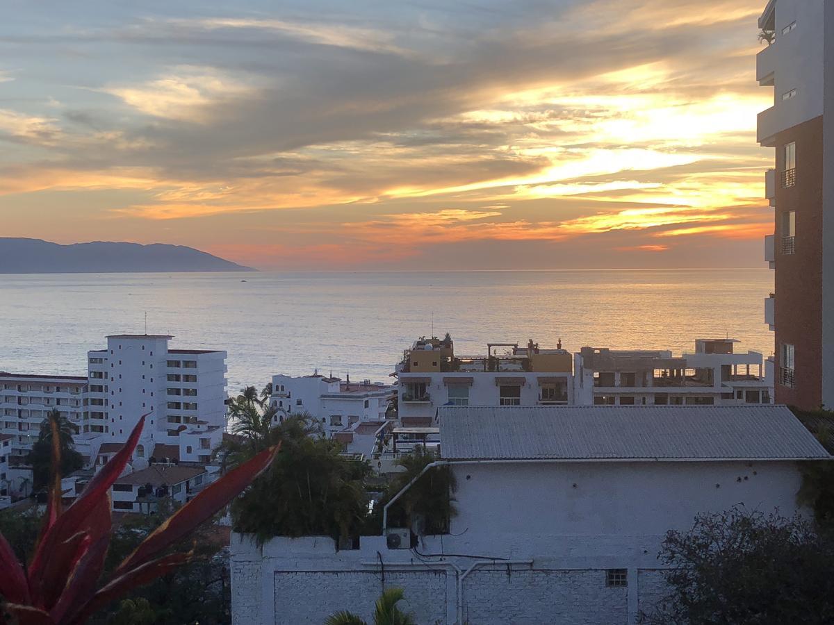 Hotel Amaca Puerto Vallarta - Adults Only Exterior photo